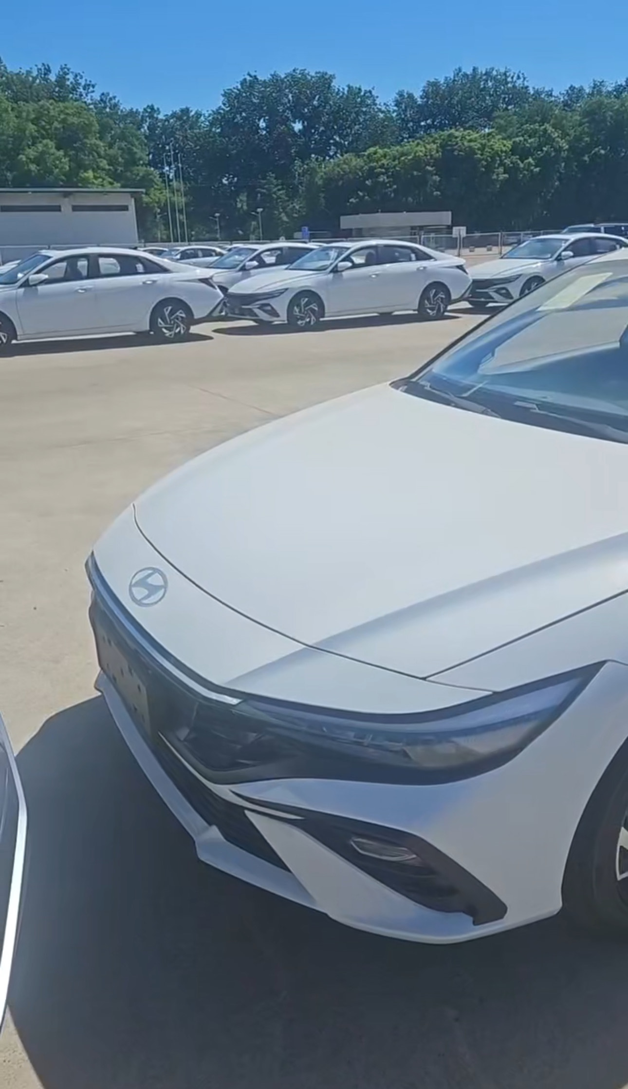 Hyundai Elantra 2026 подготовка к экспорту в Хоргосе