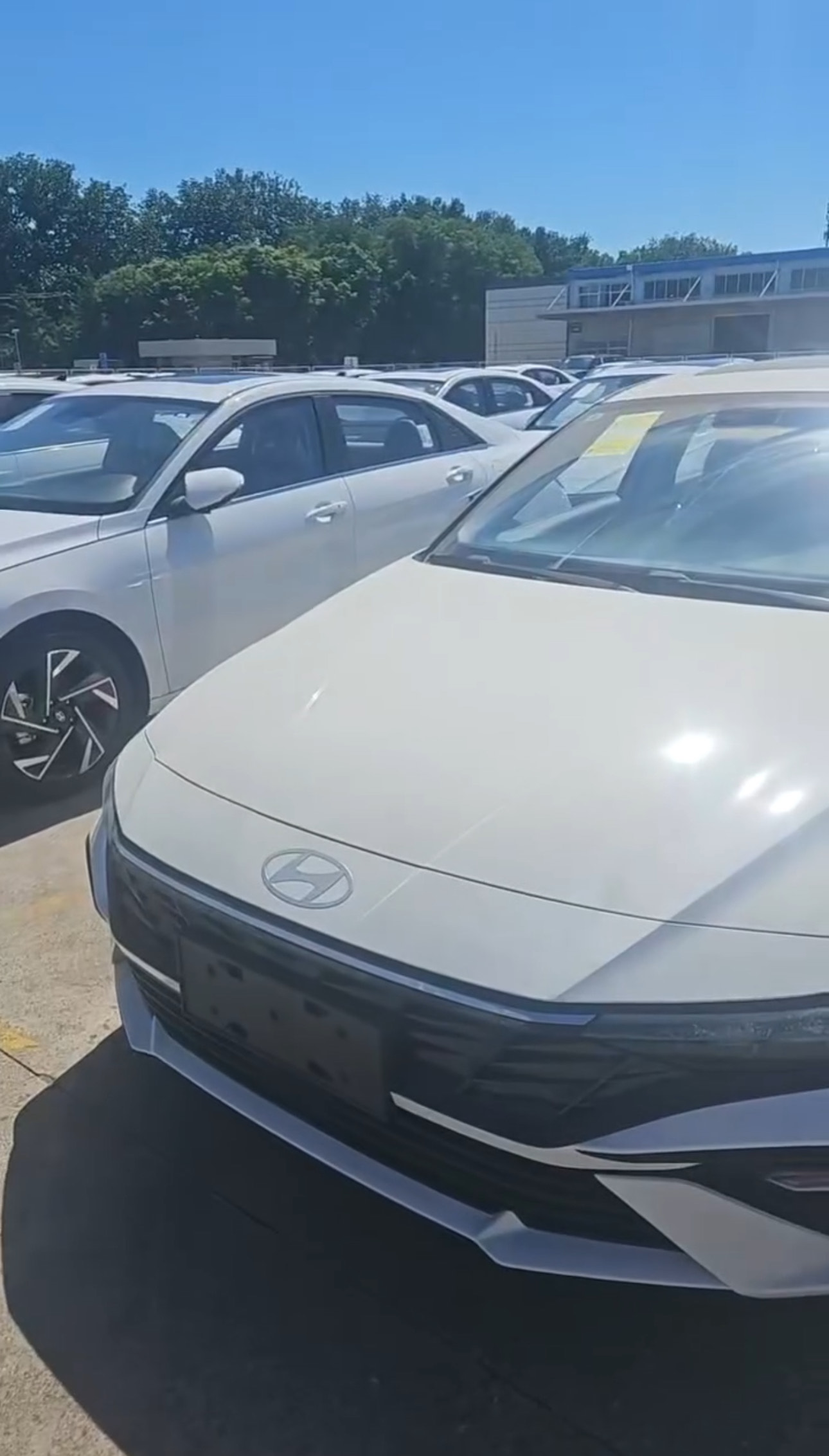 Hyundai Elantra 2026 партия в Хоргос